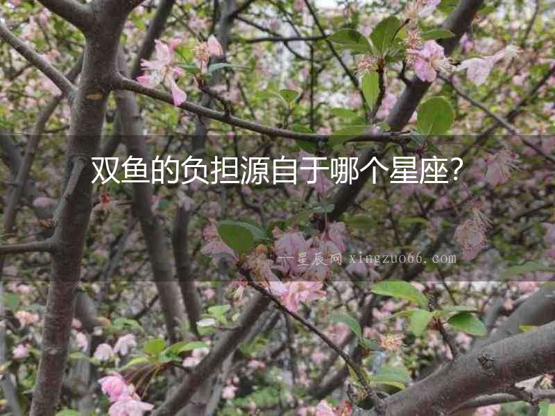 雙魚的負擔源自于哪個星座？
