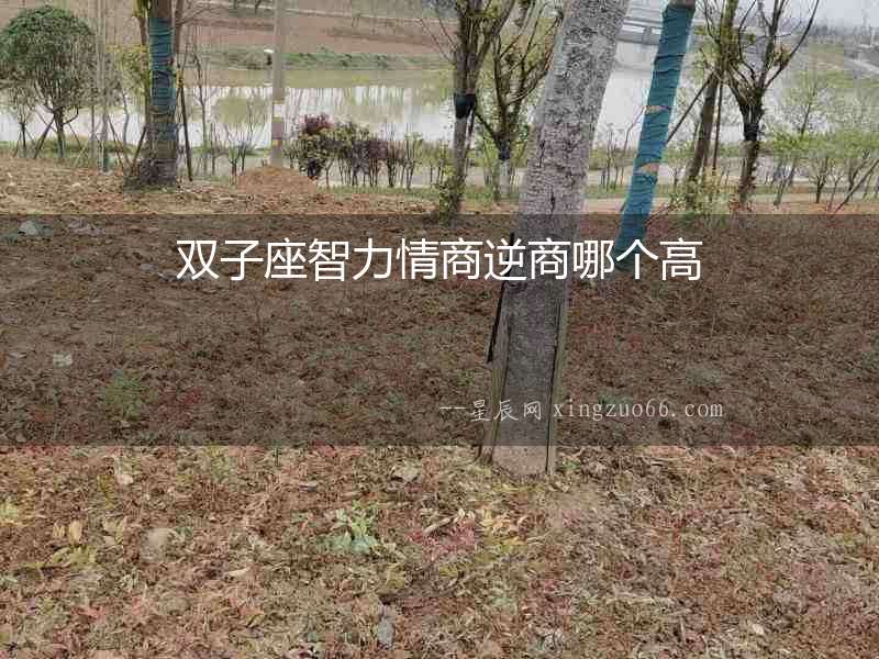 雙子座智力情商逆商哪個高