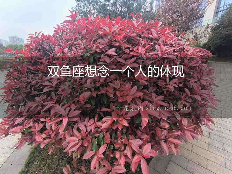 雙魚座想念一個人的體現