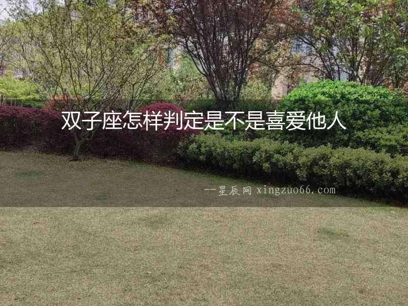 雙子座怎樣判定是不是喜愛他人