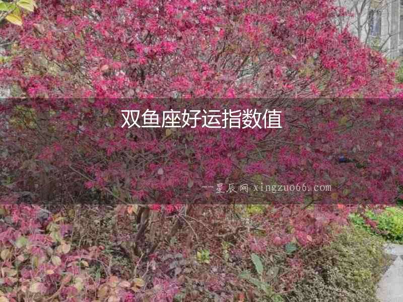 雙魚座好運指數值