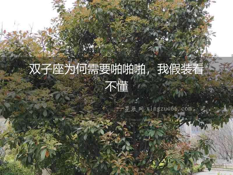 雙子座為何需要啪啪啪，我假裝看不懂