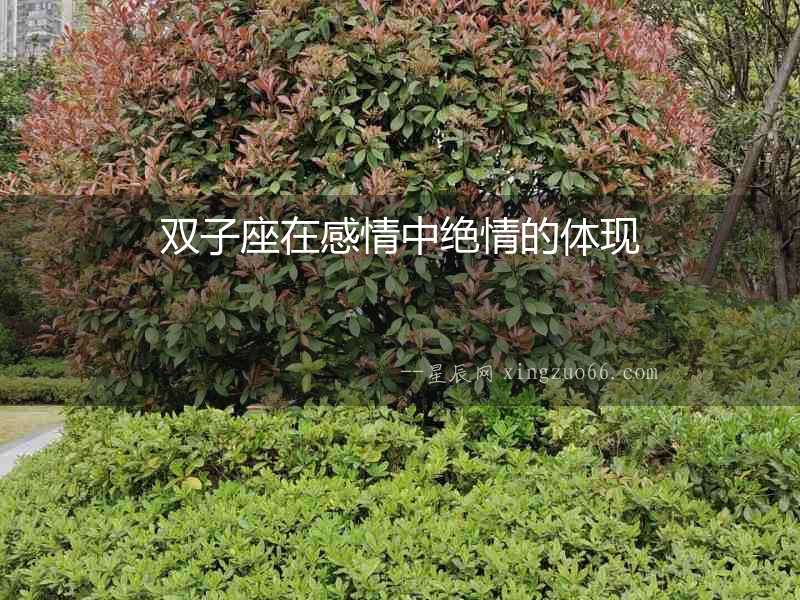 雙子座在感情中絕情的體現