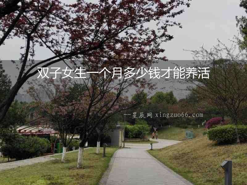 雙子女生一個月多少錢才能養活