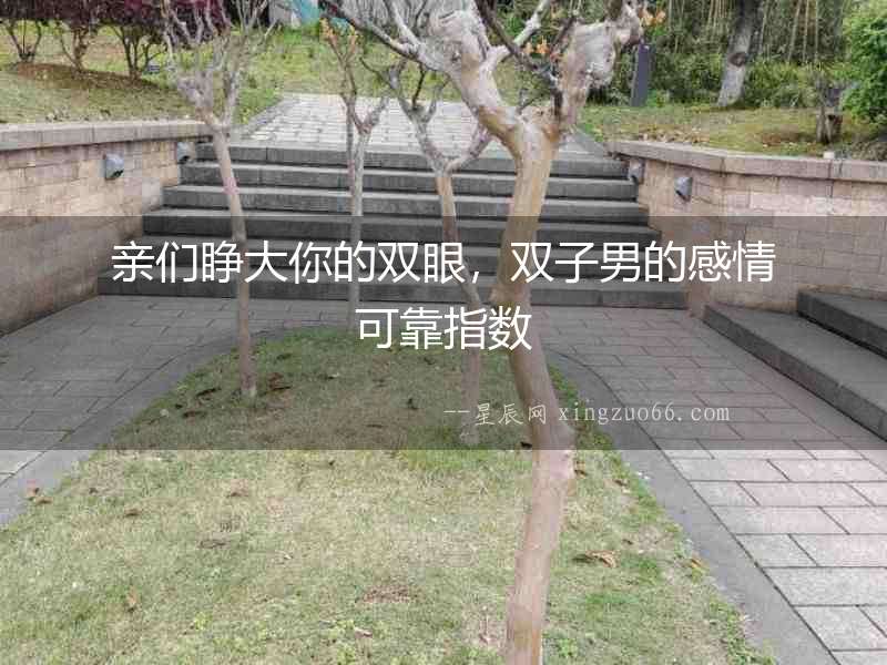 親們睜大你的雙眼，雙子男的感情可靠指數