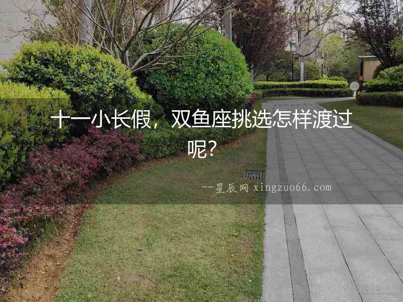 十一小長假，雙魚座挑選怎樣渡過呢？