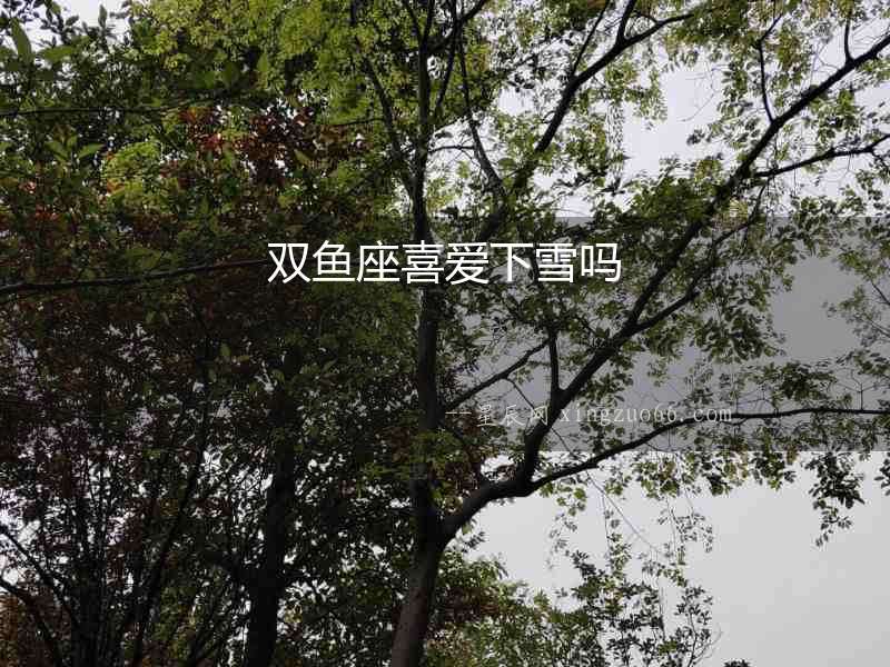 雙魚座喜愛下雪嗎