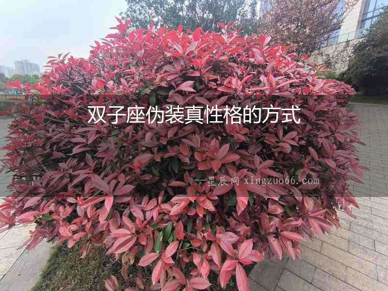雙子座偽裝真性格的方式