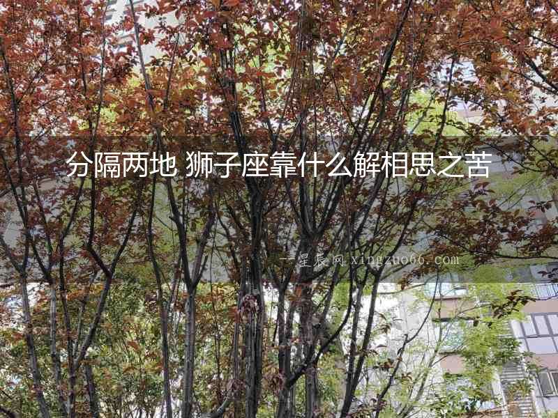 分隔兩地 獅子座靠什么解相思之苦