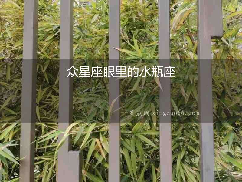眾星座眼里的水瓶座
