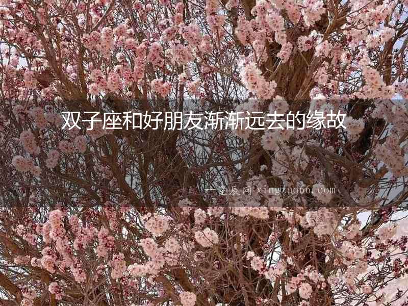 雙子座和好朋友漸漸遠去的緣故