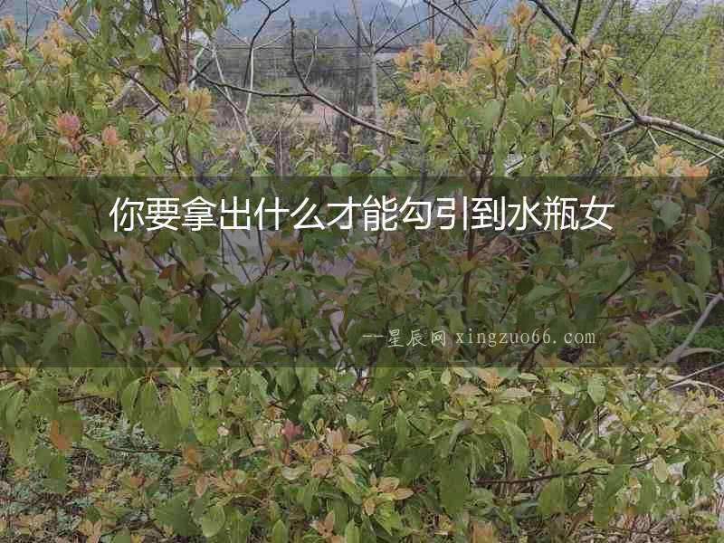 你要拿出什么才能勾引到水瓶女