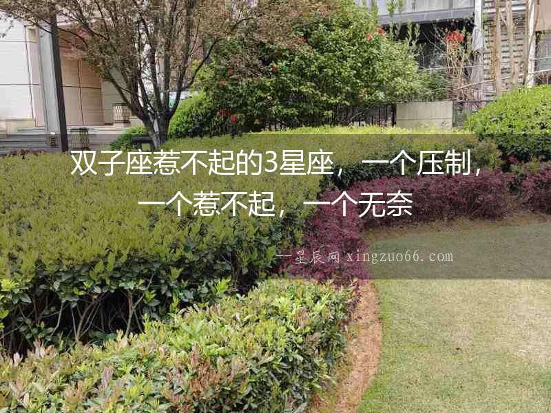 雙子座惹不起的3星座，一個壓制，一個惹不起，一個無奈