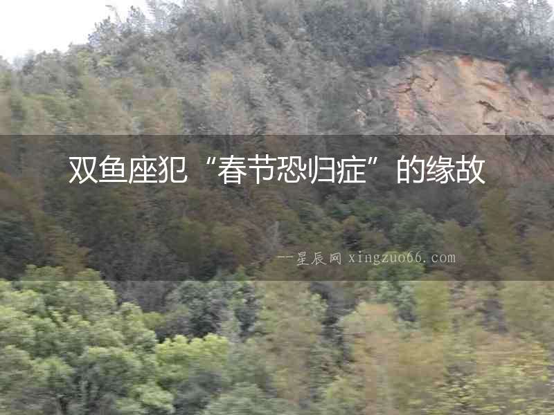 雙魚座犯“春節恐歸癥”的緣故