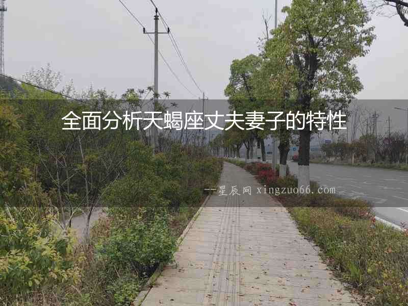 全面分析天蝎座丈夫妻子的特性
