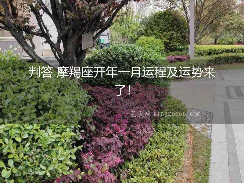 判答 摩羯座開年一月運程及運勢來了！