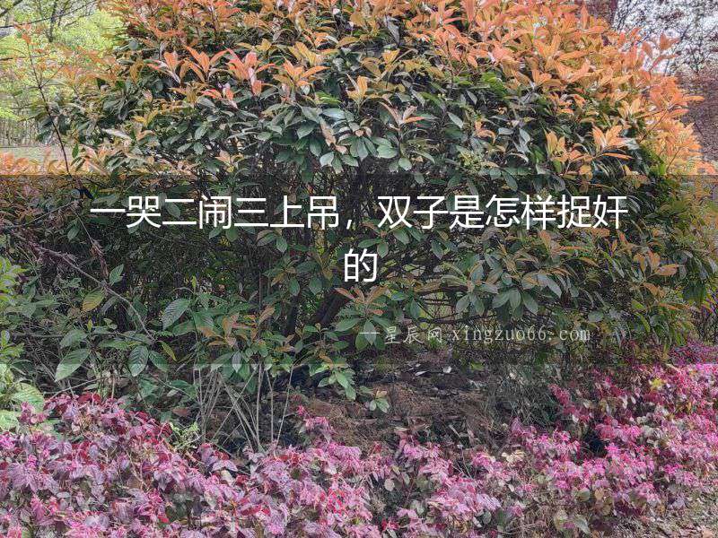 一哭二鬧三上吊，雙子是怎樣捉奸的