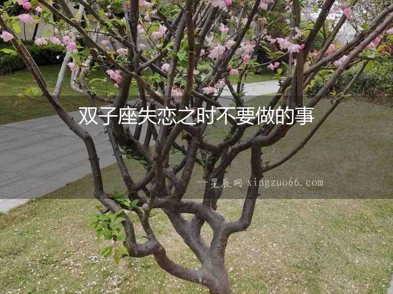 雙子座失戀之時(shí)不要做的事