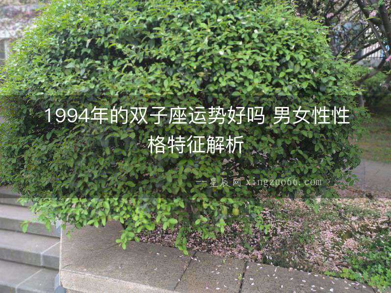 1994年的雙子座運勢好嗎 男女性性格特征解析