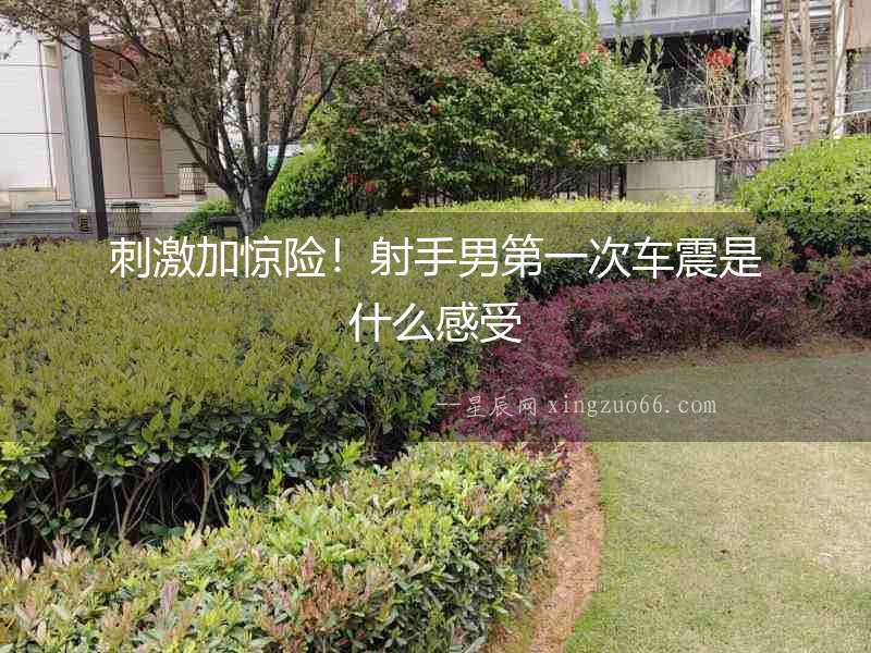 刺激加驚險！射手男第一次車震是什么感受