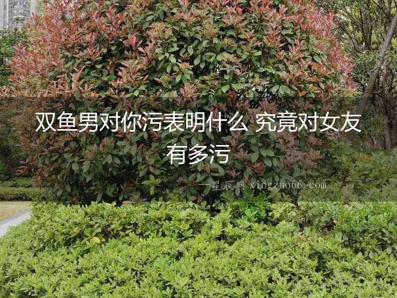 雙魚男對你污表明什么 究竟對女友有多污