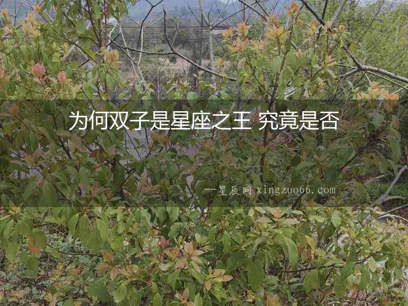 為何雙子是星座之王 究竟是否