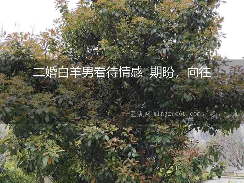 二婚白羊男看待情感  期盼，向往