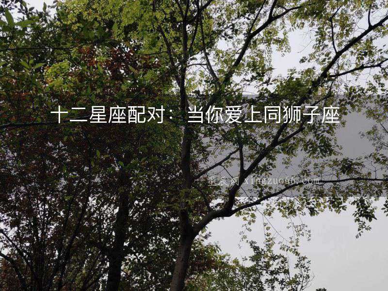 十二星座配對：當你愛上同獅子座