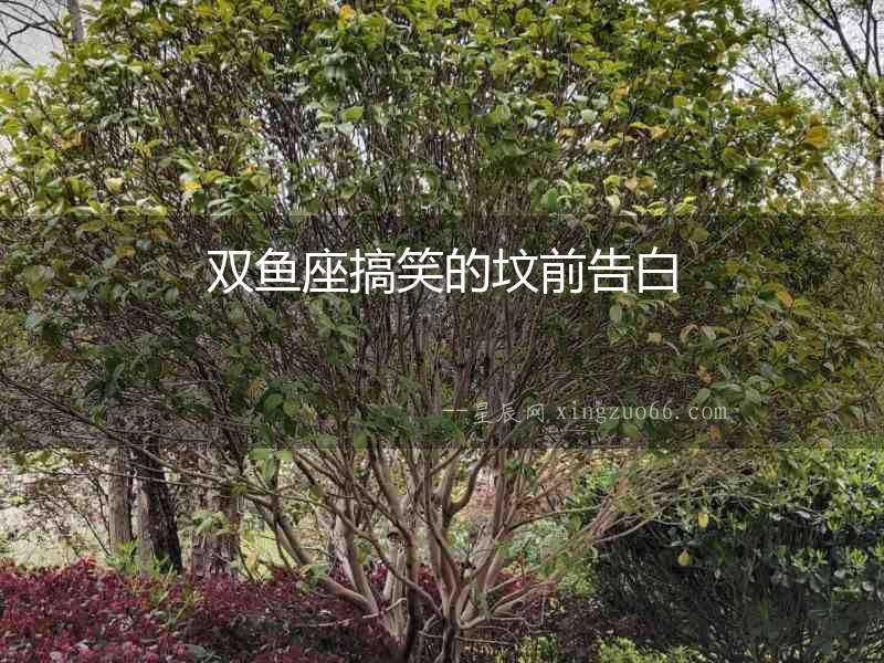雙魚座搞笑的墳前告白