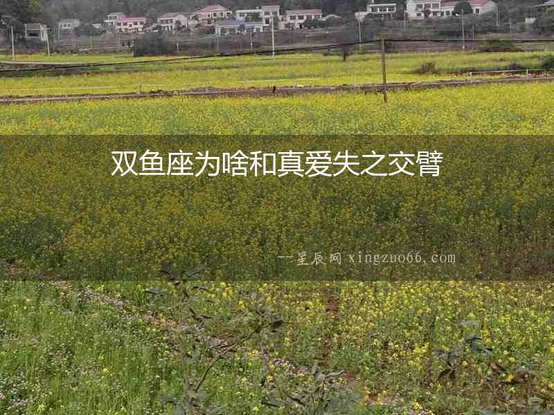 雙魚座為啥和真愛失之交臂