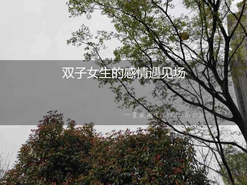 雙子女生的感情遇見場(chǎng)