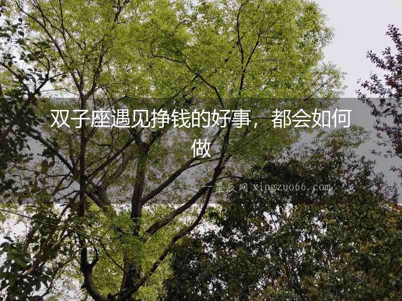 雙子座遇見掙錢的好事，都會如何做