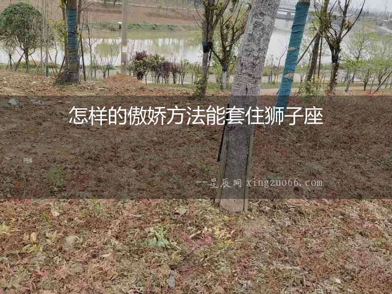 怎樣的傲嬌方法能套住獅子座