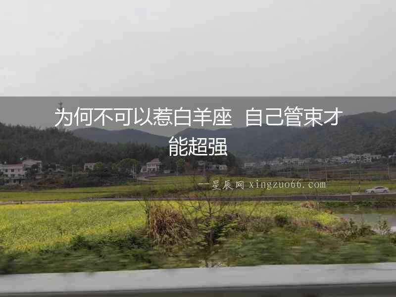 為何不可以惹白羊座  自己管束才能超強