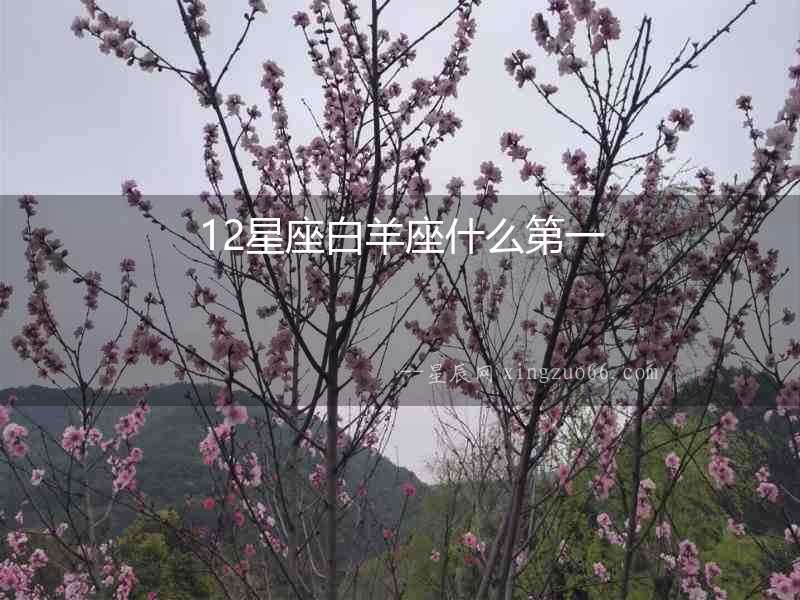 12星座白羊座什么第一