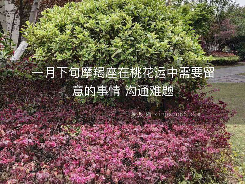 一月下旬摩羯座在桃花運(yùn)中需要留意的事情 溝通難題