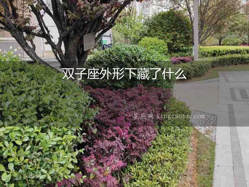 雙子座外形下藏了什么