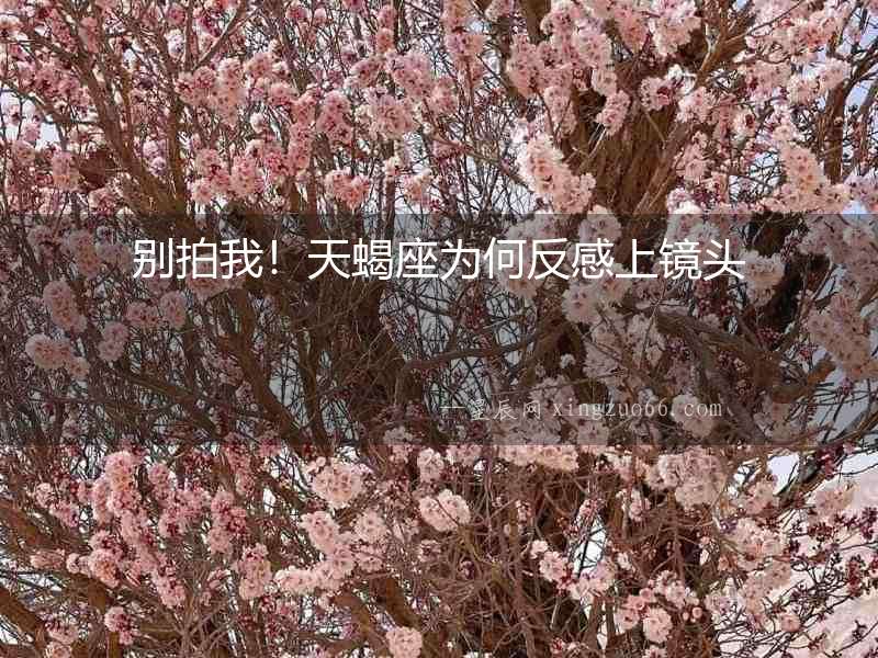 別拍我！天蝎座為何反感上鏡頭