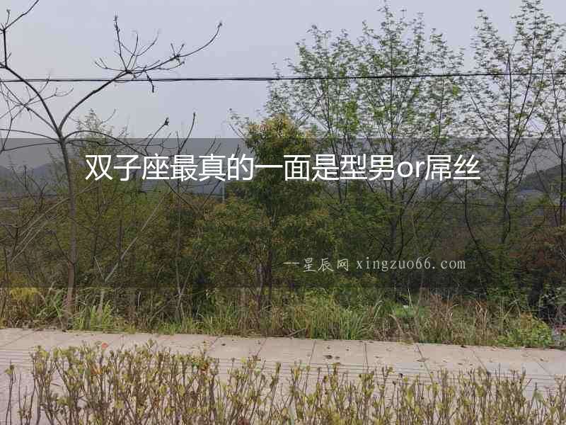 雙子座最真的一面是型男or屌絲