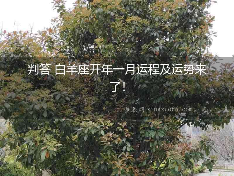判答 白羊座開年一月運程及運勢來了！
