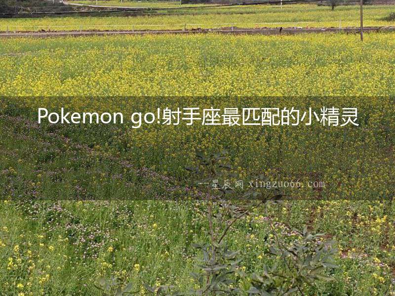 Pokemon go!射手座最匹配的小精靈
