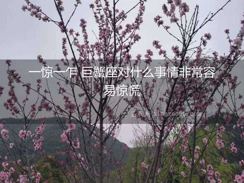 一驚一乍 巨蟹座對(duì)什么事情非常容易驚慌