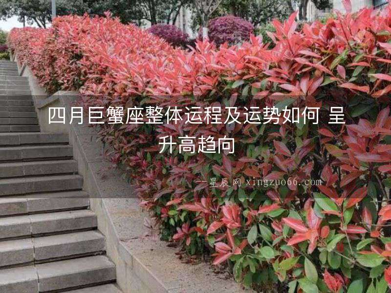 四月巨蟹座整體運程及運勢如何 呈升高趨向