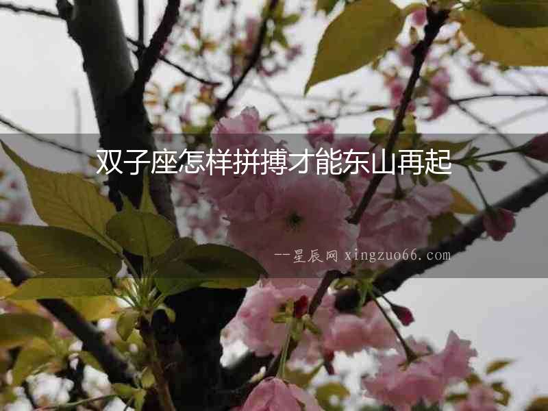 雙子座怎樣拼搏才能東山再起