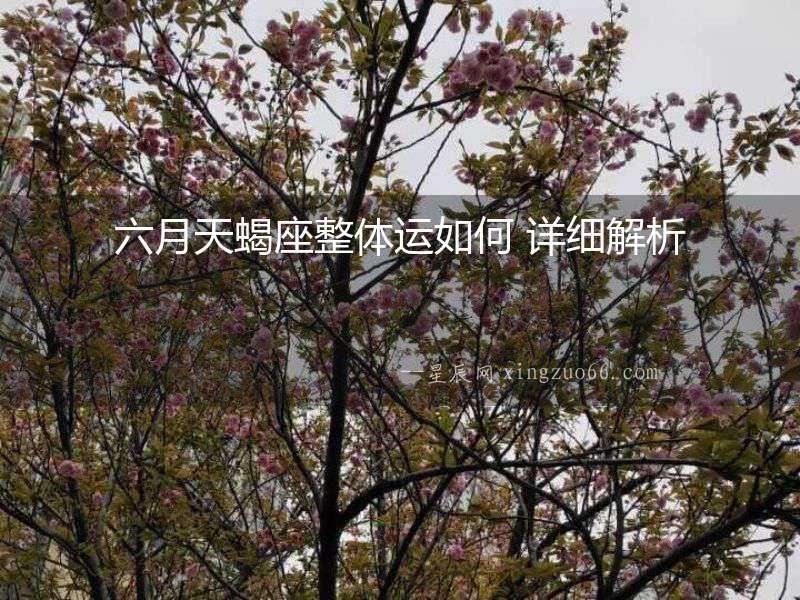 六月天蝎座整體運如何 詳細解析