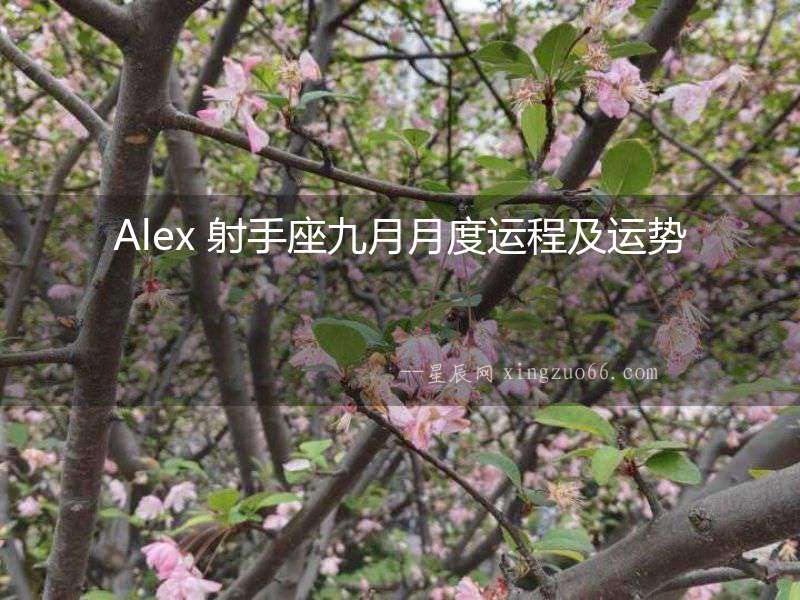 Alex 射手座九月月度運程及運勢