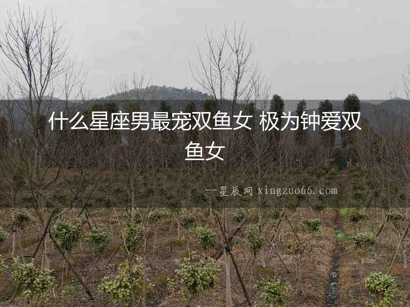 什么星座男最寵雙魚女 極為鐘愛雙魚女