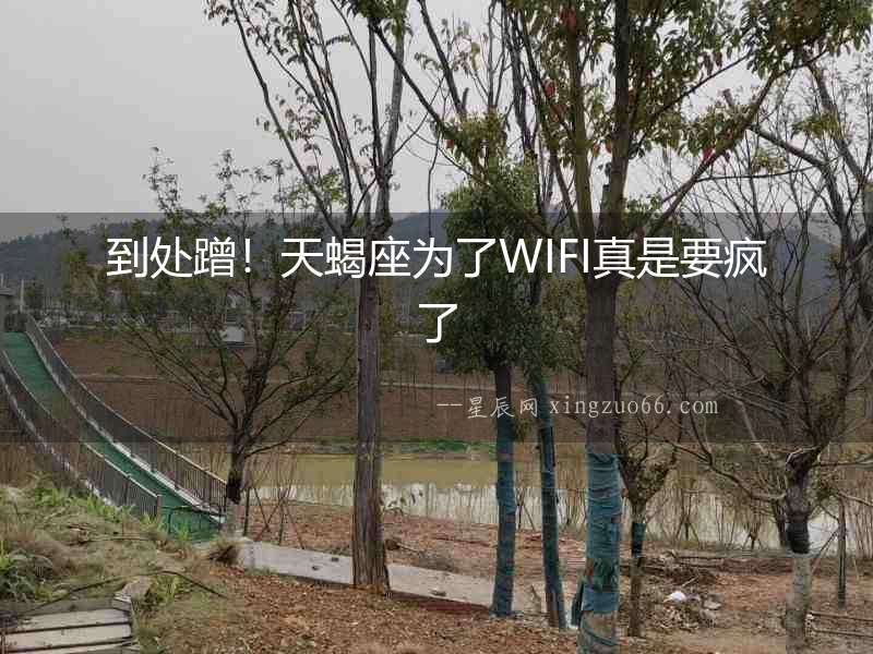 到處蹭！天蝎座為了WIFI真是要瘋了