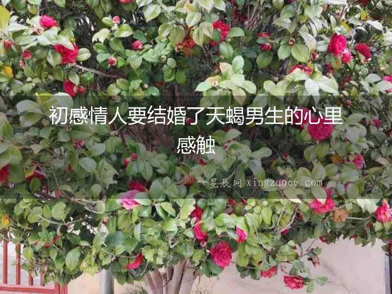 初感情人要結(jié)婚了天蝎男生的心里感觸
