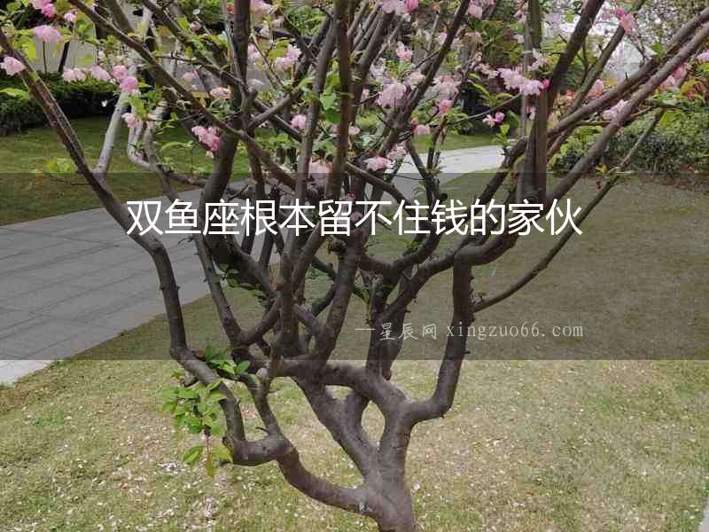 雙魚座根本留不住錢的家伙